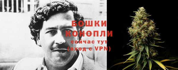 твердый Богородицк