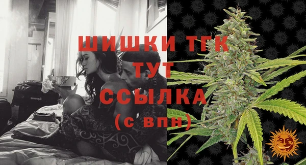 твердый Богородицк