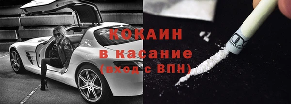 твердый Богданович