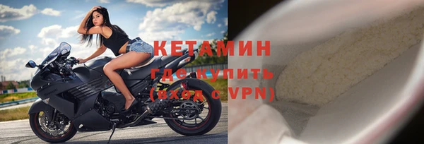 твердый Богданович