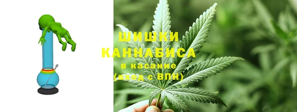 СК Богородск