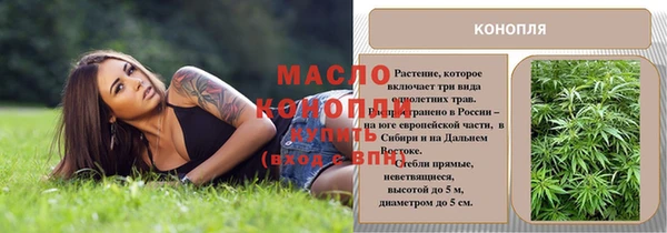 твердый Богородицк