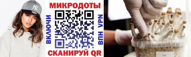 Псилоцибиновые грибы Psilocybine cubensis  Купить закладки  Дмитровск 